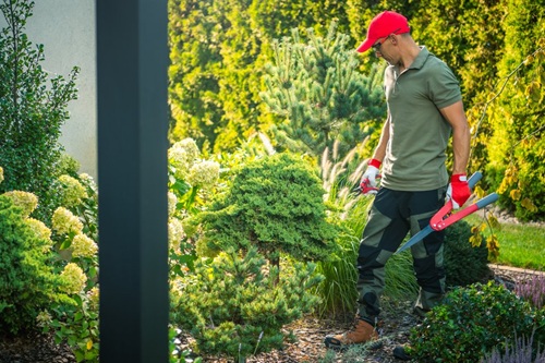BinnenLux - Tuinontruiming - Tuinonderhoud