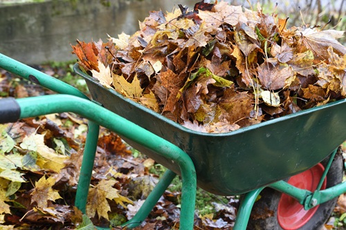 BinnenLux tuinopruiminng - tuinonderhoud